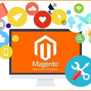 Theme & Frontend Customization Package